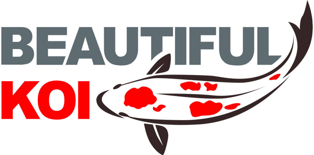 Beautiful Koi