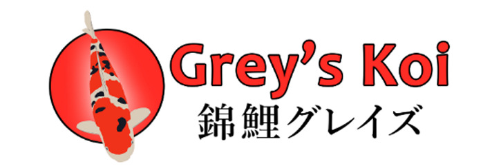 Grey's Koi
