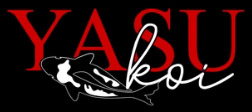 Yasu Koi Image